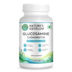 Glucosamine Chondroitin Turmeric & MSM